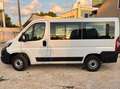 Fiat Ducato PANORAMA 9 POSTI CON SOLI 75000 KM!!!! Weiß - thumbnail 3
