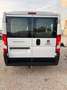 Fiat Ducato PANORAMA 9 POSTI CON SOLI 75000 KM!!!! Weiß - thumbnail 4