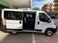 Fiat Ducato PANORAMA 9 POSTI CON SOLI 75000 KM!!!! Weiß - thumbnail 30