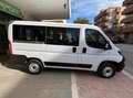 Fiat Ducato PANORAMA 9 POSTI CON SOLI 75000 KM!!!! Weiß - thumbnail 12