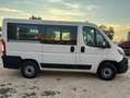 Fiat Ducato PANORAMA 9 POSTI CON SOLI 75000 KM!!!! Weiß - thumbnail 5