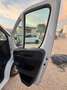 Fiat Ducato PANORAMA 9 POSTI CON SOLI 75000 KM!!!! Weiß - thumbnail 23