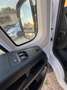 Fiat Ducato PANORAMA 9 POSTI CON SOLI 75000 KM!!!! Weiß - thumbnail 11