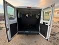Fiat Ducato PANORAMA 9 POSTI CON SOLI 75000 KM!!!! Weiß - thumbnail 18
