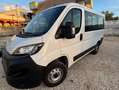 Fiat Ducato PANORAMA 9 POSTI CON SOLI 75000 KM!!!! Weiß - thumbnail 1