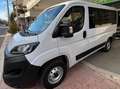 Fiat Ducato PANORAMA 9 POSTI CON SOLI 75000 KM!!!! Weiß - thumbnail 6
