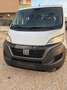 Fiat Ducato PANORAMA 9 POSTI CON SOLI 75000 KM!!!! Weiß - thumbnail 6