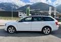 Skoda Octavia Elegance *FINANZIERUNG* Weiß - thumbnail 4