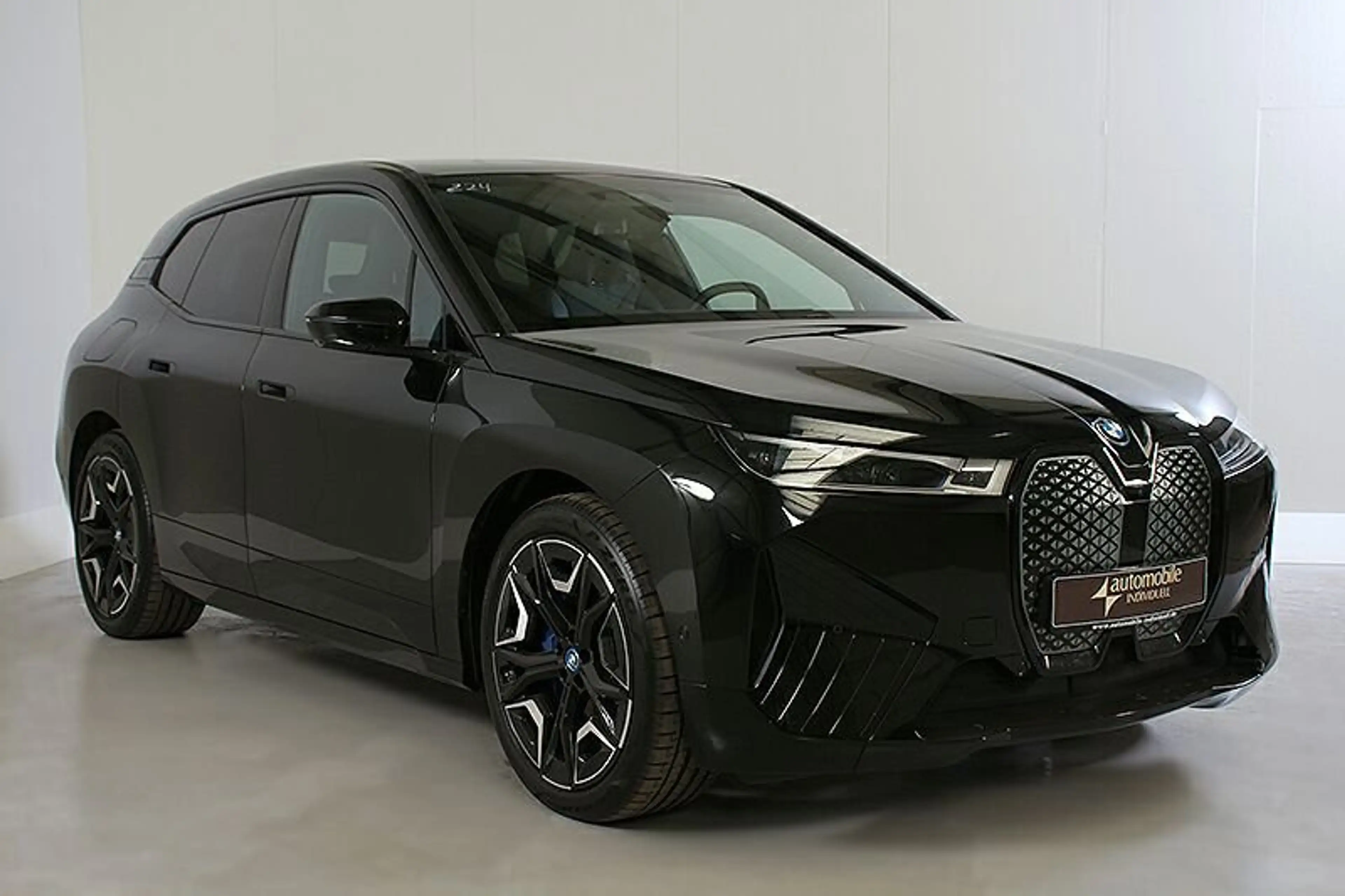 BMW iX xDrive50 Sportpaket AHK ACC Laser H&K HuD — photo 2