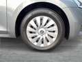 Skoda Octavia Essence TDI Grau - thumbnail 6