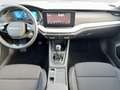 Skoda Octavia Essence TDI Grau - thumbnail 10