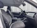 Skoda Kodiaq 1.5l DSG*Matrix*7-Sitzer*Kamera*PDC* Weiß - thumbnail 14