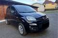 Fiat Panda 1,2 69 Lounge Schwarz - thumbnail 2