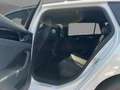 Volkswagen Passat Variant R-Line Black 2.0 TDI DSG AHK 19" Weiß - thumbnail 10