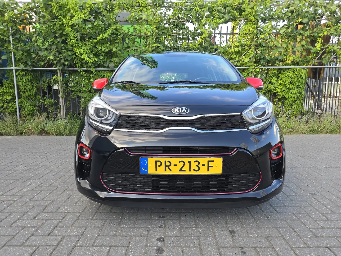 Kia Picanto Picanto 1.0 CVVT Dyn.PlusL Zwart - 1