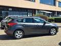 Ford Focus Focus IV 2015 5p 1.5 tdci Plus s Gris - thumbnail 5