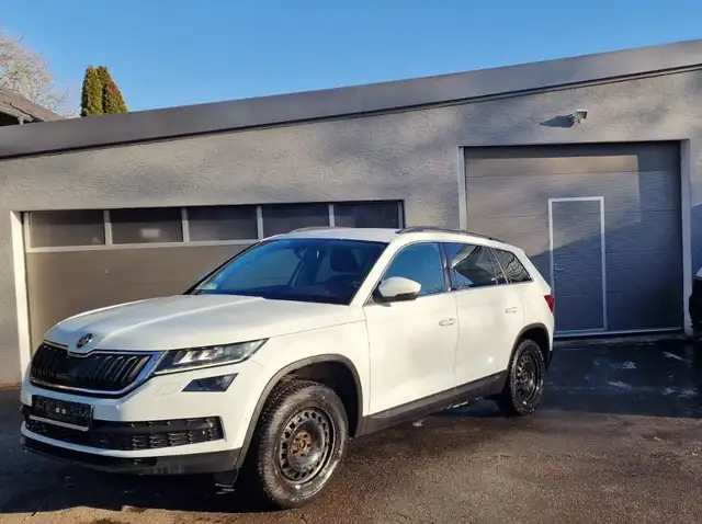 Skoda Kodiaq Ambition 4x4 LED 19 Zoll Alu