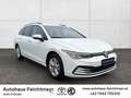 Volkswagen Golf Variant 8 Kombi Life TDI DSG 5t. Weiß - thumbnail 3