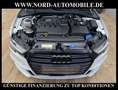 Audi A3 Limousine 35 TDI S-LINE S-TRO LED*SHZ*19ZOLL* S-Li Weiß - thumbnail 25