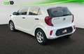 Kia Picanto 1.0 CVVT Concept Plus Blanco - thumbnail 2