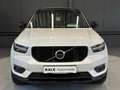 Volvo XC40 R-Design AWD*20Zoll*PANORAMA*Xenium*AHK*BusinessPr Biały - thumbnail 8