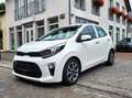 Kia Picanto 1.2 Spirit SITZHZG KAMERA LENKRADHZG Blanco - thumbnail 1