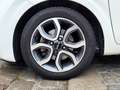 Kia Picanto 1.2 Spirit SITZHZG KAMERA LENKRADHZG Blanco - thumbnail 9