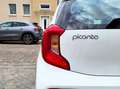 Kia Picanto 1.2 Spirit SITZHZG KAMERA LENKRADHZG Blanco - thumbnail 11