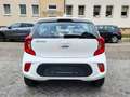 Kia Picanto 1.2 Spirit SITZHZG KAMERA LENKRADHZG Blanco - thumbnail 6