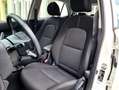 Kia Picanto 1.2 Spirit SITZHZG KAMERA LENKRADHZG Blanco - thumbnail 14
