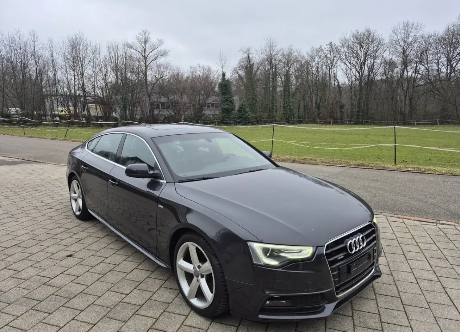 Audi A5 SB 3,0 TDI DPF Aut. - 1