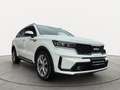 Kia Sorento 2.2D AWD DCT PLATINUM | PANO | AHK | 360° Weiß - thumbnail 6