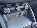 Alfa Romeo Stelvio Super 2.2  AT8 Bi-Xenon, Navi NP:48.380€ Gris - thumbnail 11