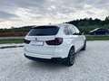 BMW X5 xdrive25d Experience 231cv auto Bianco - thumbnail 4