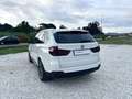 BMW X5 xdrive25d Experience 231cv auto Bianco - thumbnail 2