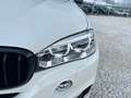 BMW X5 xdrive25d Experience 231cv auto Bianco - thumbnail 5
