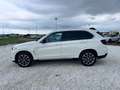 BMW X5 xdrive25d Experience 231cv auto Bianco - thumbnail 8