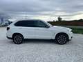 BMW X5 xdrive25d Experience 231cv auto Bianco - thumbnail 9