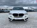 BMW X5 xdrive25d Experience 231cv auto Bianco - thumbnail 6