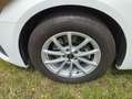 Audi A6 Avant 35 TDI S-tronic ACC,Paket Tour,Fernlic... Blanco - thumbnail 11