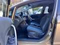 Ford Fiesta Fiesta 1.4 tdci Titanium 5p Bronzo - thumbnail 7