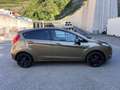 Ford Fiesta Fiesta 1.4 tdci Titanium 5p Bronze - thumbnail 17