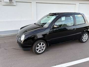 Lupo 1.0 College