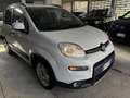 Fiat Panda Panda III 2021 1.0 firefly hybrid City Life s Blanc - thumbnail 14
