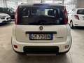 Fiat Panda Panda III 2021 1.0 firefly hybrid City Life s Blanc - thumbnail 6