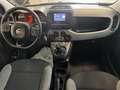 Fiat Panda Panda III 2021 1.0 firefly hybrid City Life s Blanc - thumbnail 9