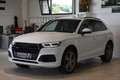 Audi Q5 40 TDI quattro // S line sport plus Bianco - thumbnail 3