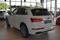 Audi Q5 40 TDI quattro // S line sport plus Bianco - thumbnail 10