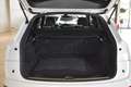Audi Q5 40 TDI quattro // S line sport plus Bianco - thumbnail 11