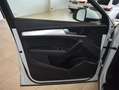 Audi Q5 40 TDI quattro // S line sport plus Bianco - thumbnail 14